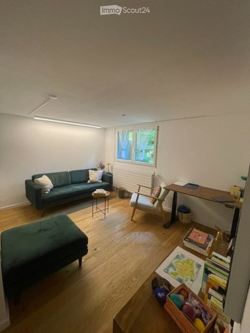 Studio accogliente a Breitenrain (1)
