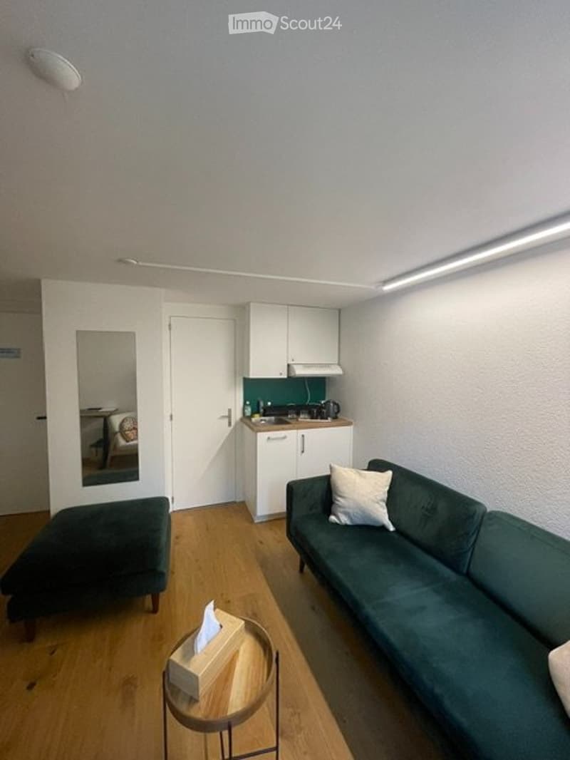 Studio accogliente a Breitenrain (2)