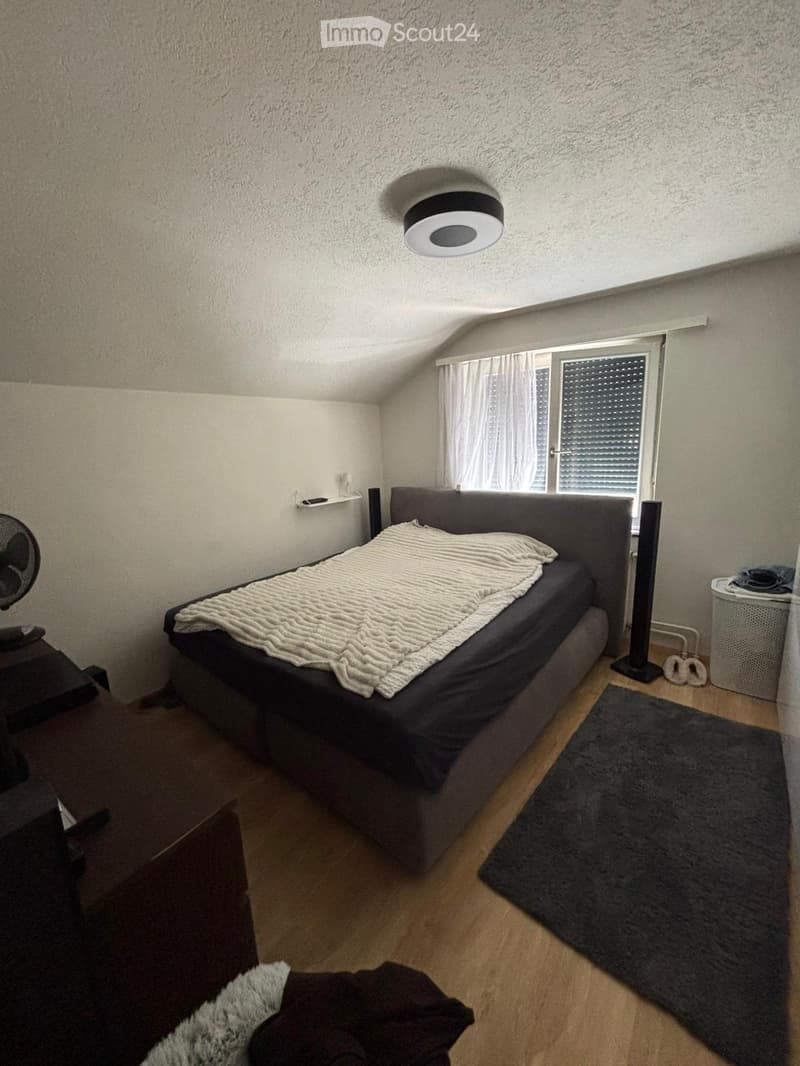 2.5 Room Apartment (3)