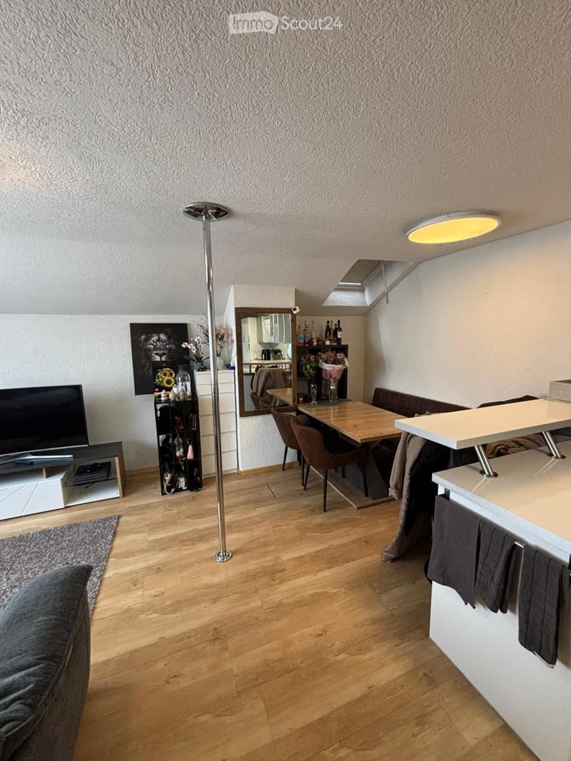 2.5 Room Apartment (4)
