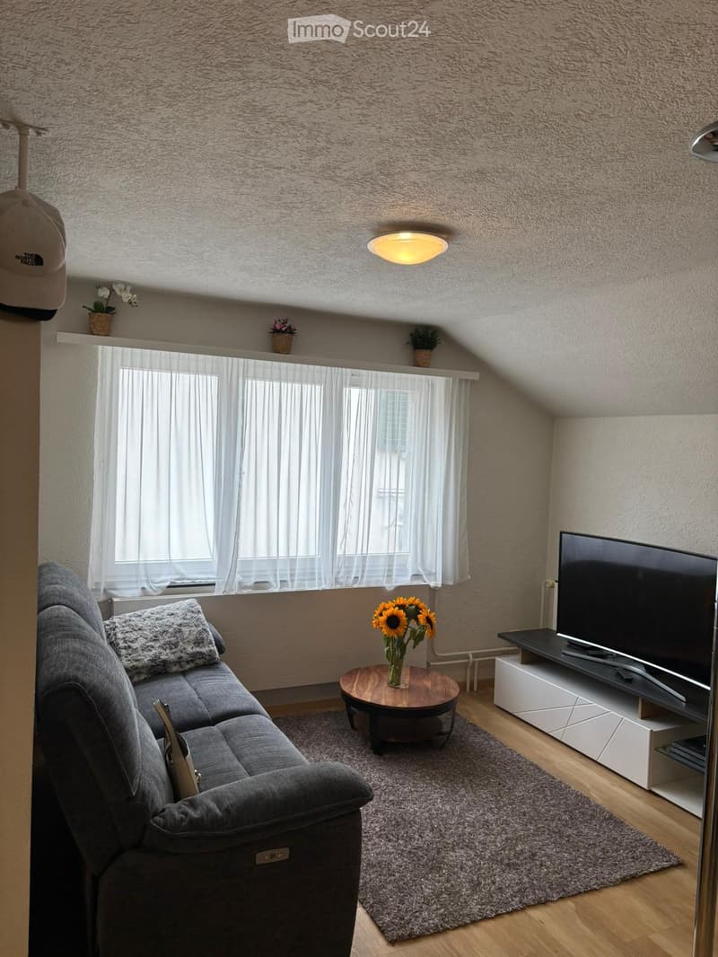 2.5 Room Apartment (5)