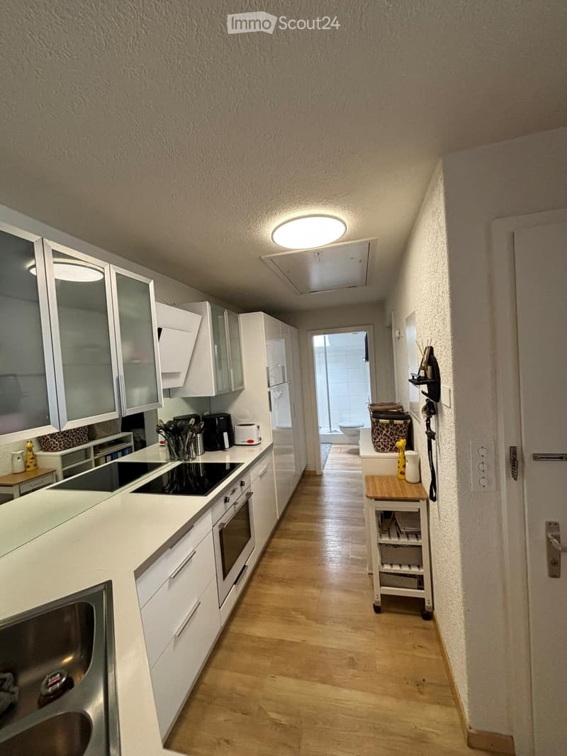 2.5 Room Apartment (1)
