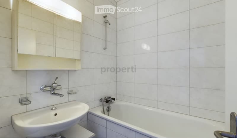 3.5 Zimmer Wohnung (3)