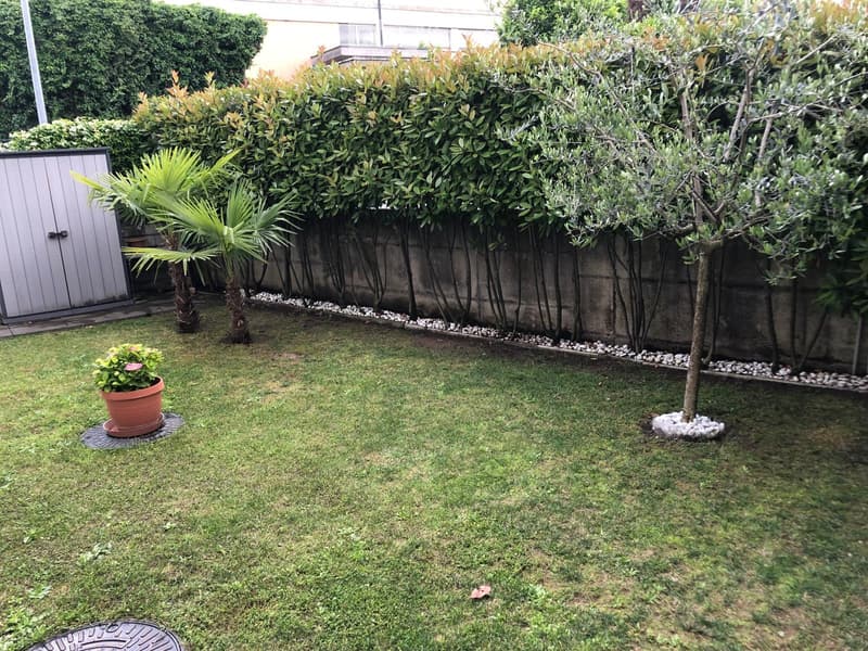 Da subito fino a 28 agosto 2.5 locali a Mendrisio (1)