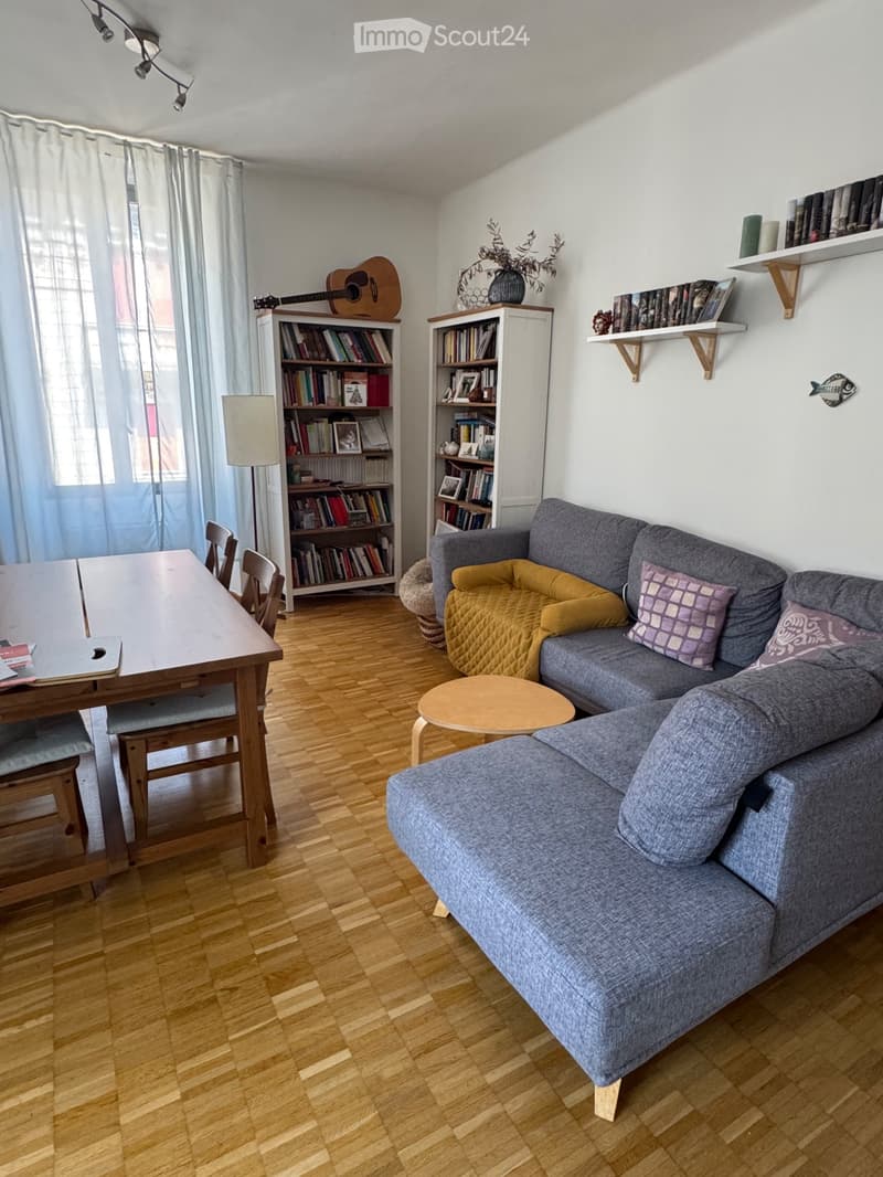 Sous-locataire pour un splendide appartement au centre de Bellinzona (2)