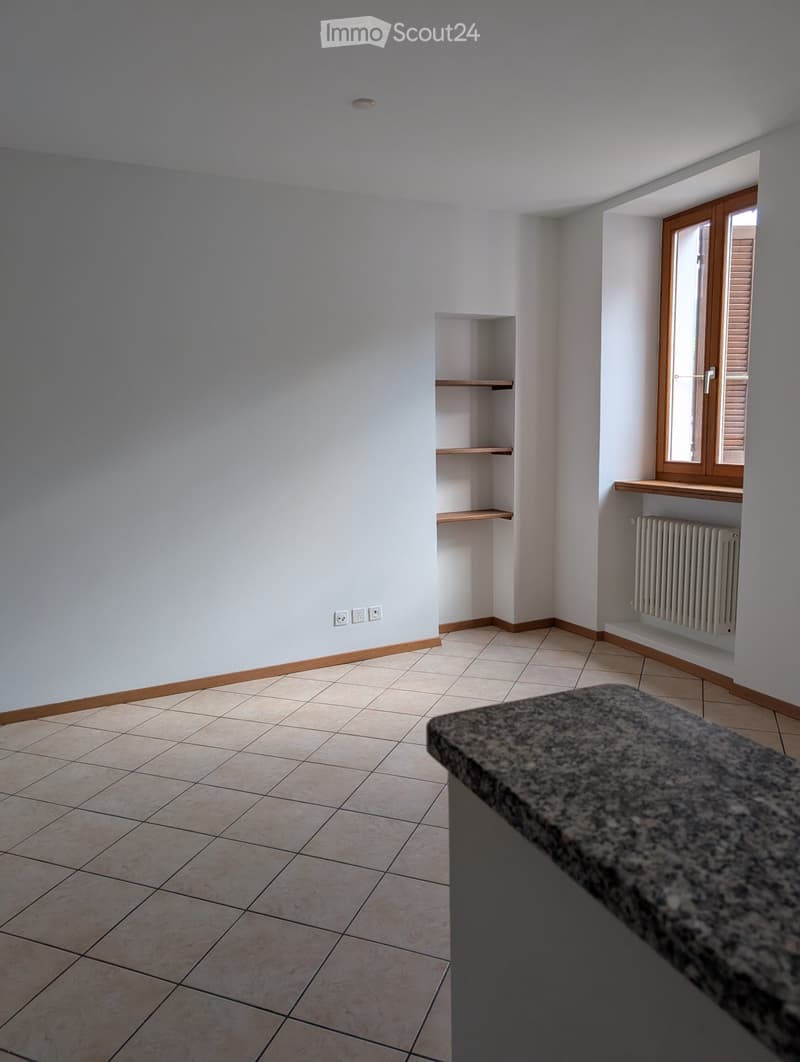Appartamento luminoso 2.5 locali a Lamone (3)
