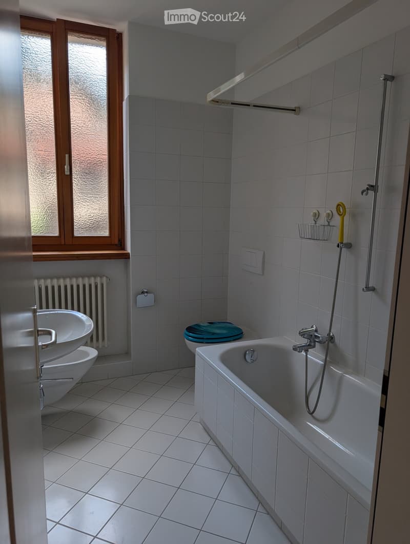 Appartamento luminoso 2.5 locali a Lamone (5)