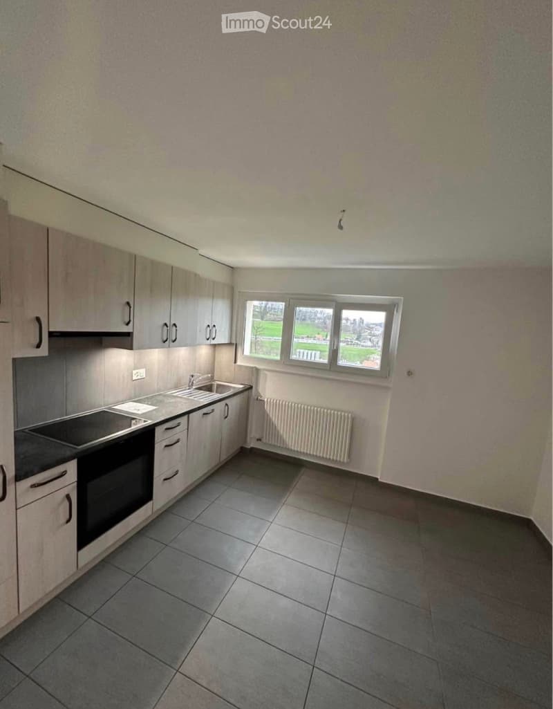 Appartement à louer 4.5 pces au rez chaussée (2)