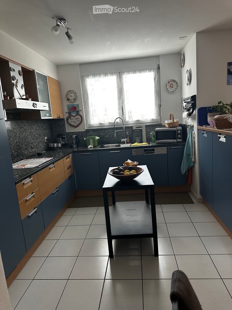 Appartamento 4.5 con giardino (3)
