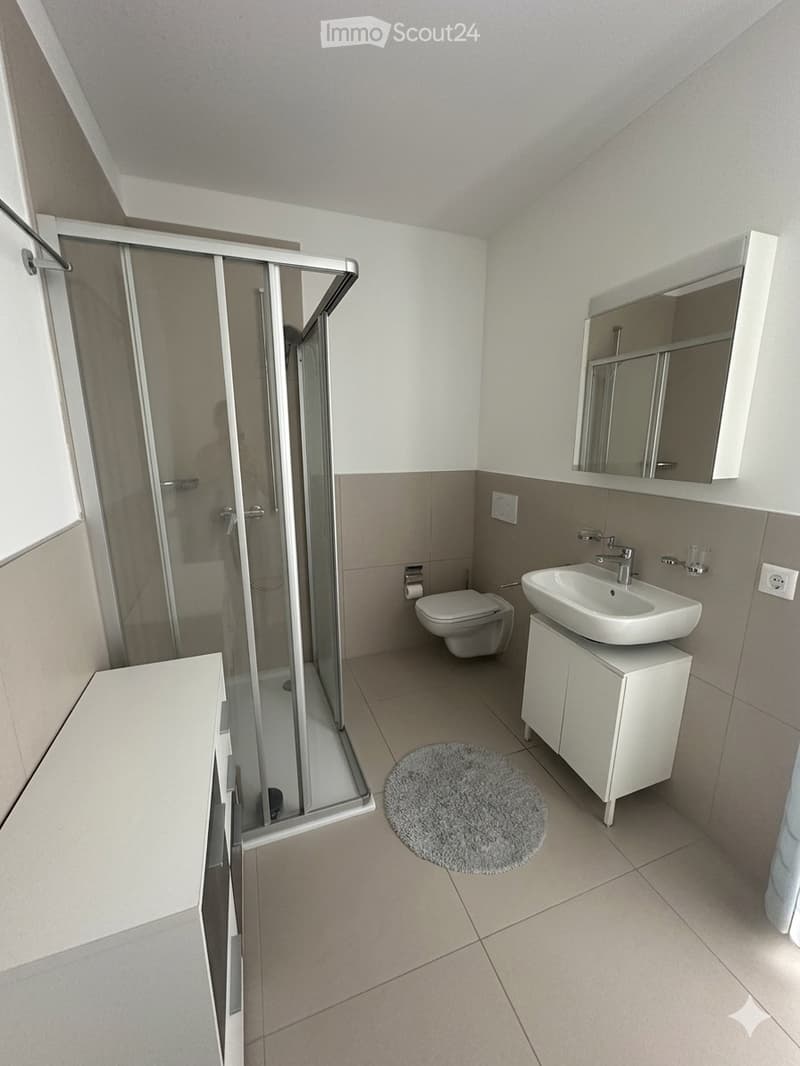 Moderno 3.5 con lavanderia privata 1500 fr TUTTO INCLUSO (4)
