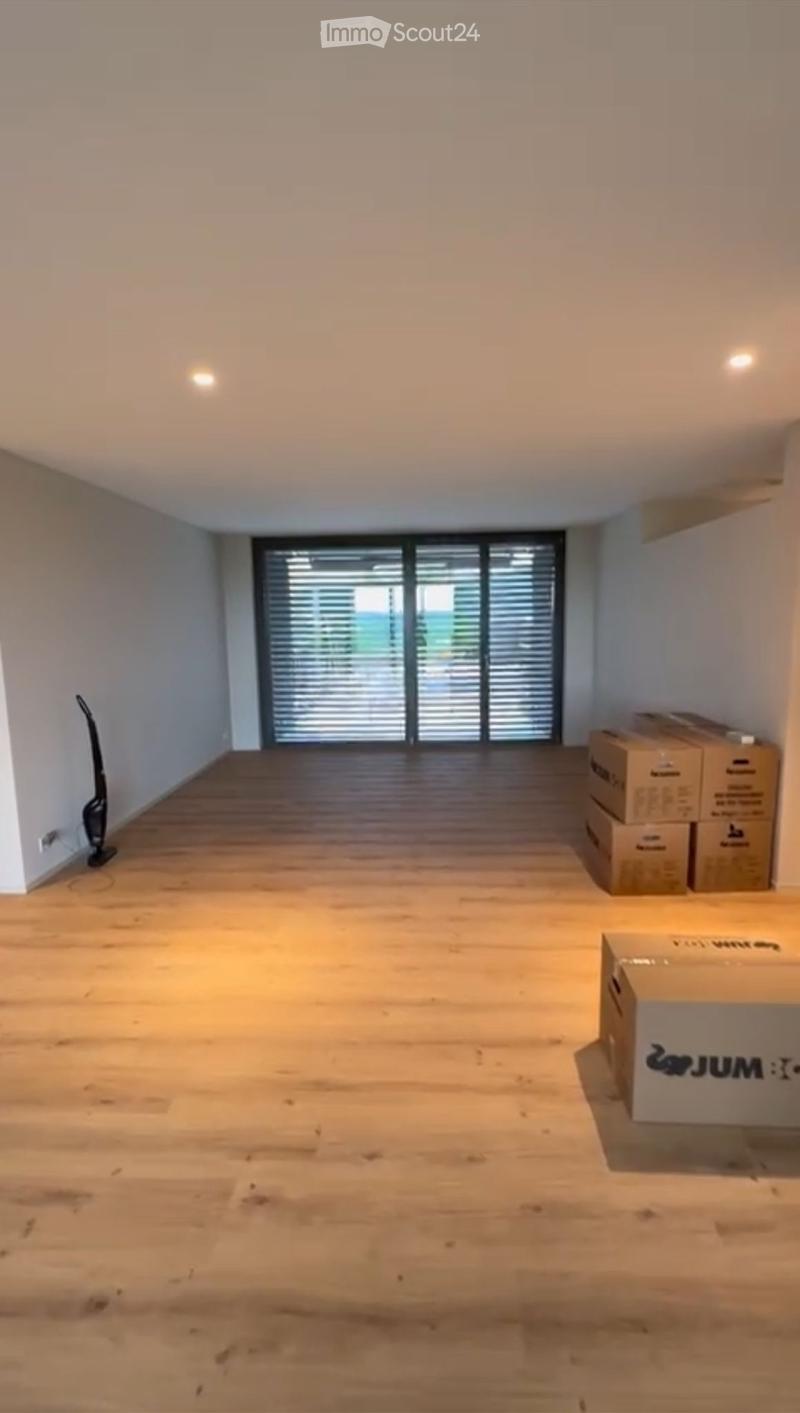Tenant wanted - 4.5-room apartment Winterthur (4)