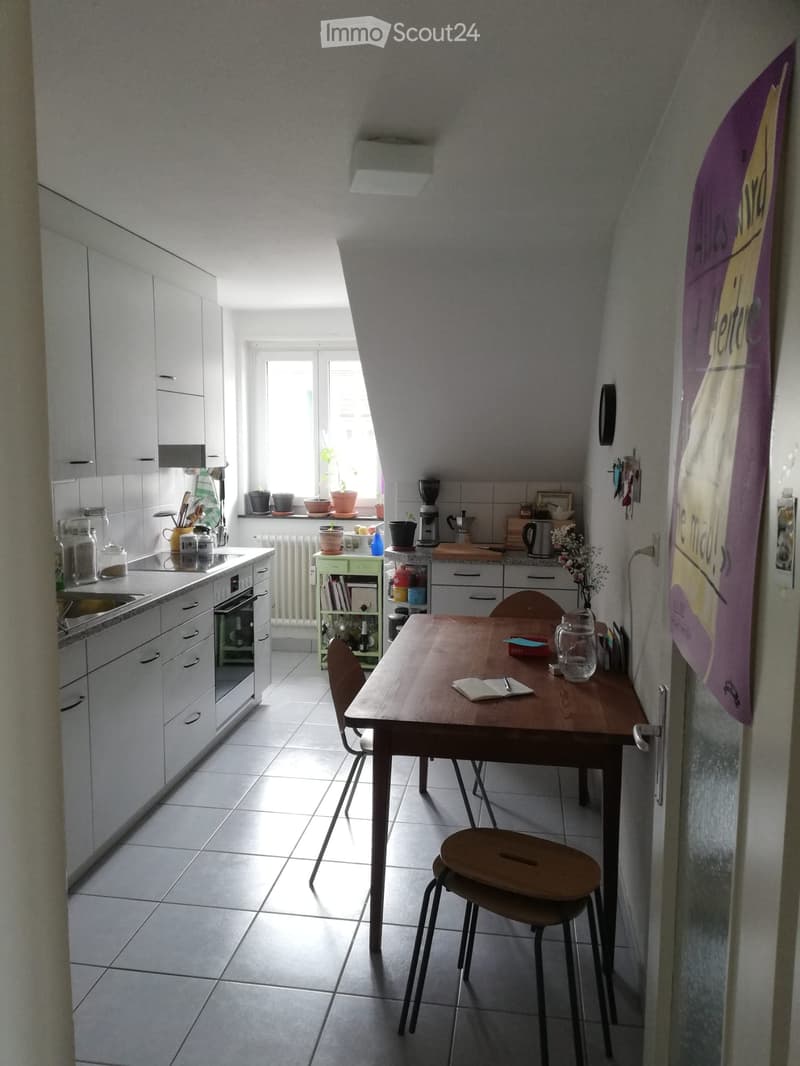 Bello e tranquillo appartamento mansardato di 2,5 locali con vista (3)
