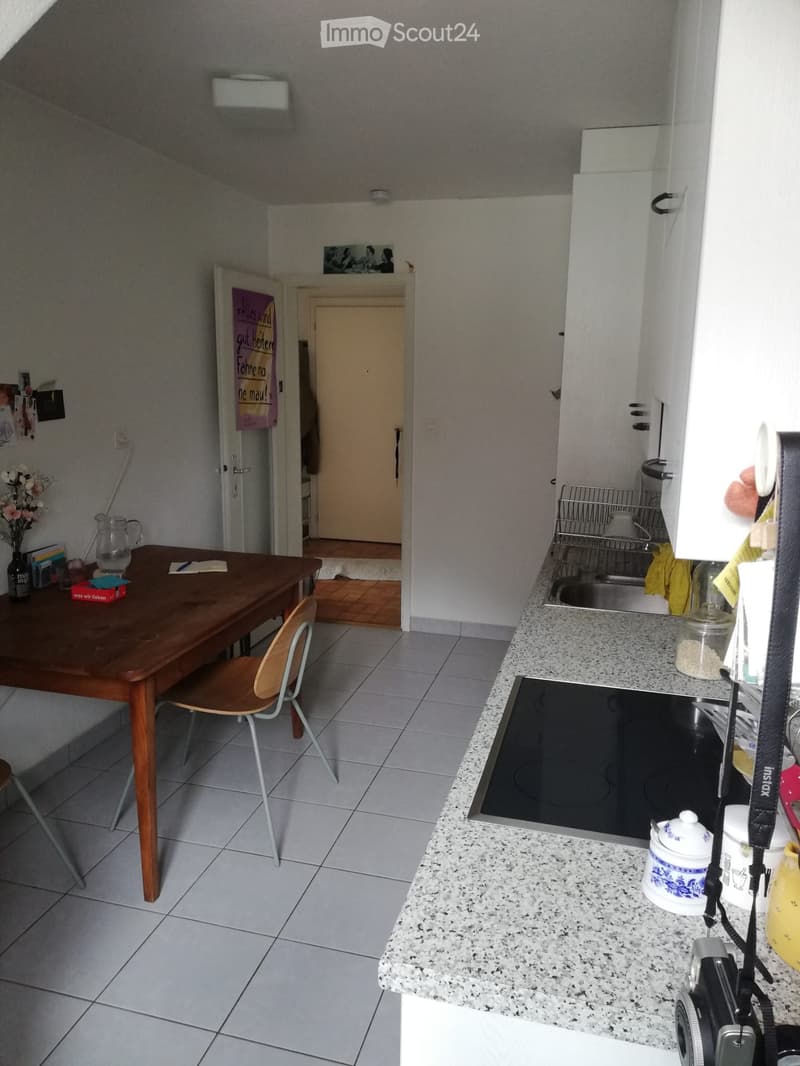 Bello e tranquillo appartamento mansardato di 2,5 locali con vista (2)