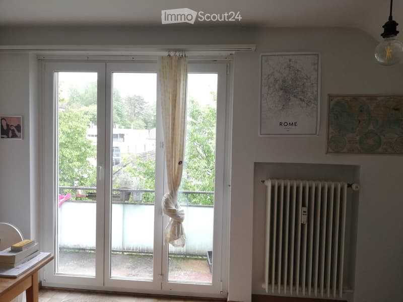 Bello e tranquillo appartamento mansardato di 2,5 locali con vista (7)