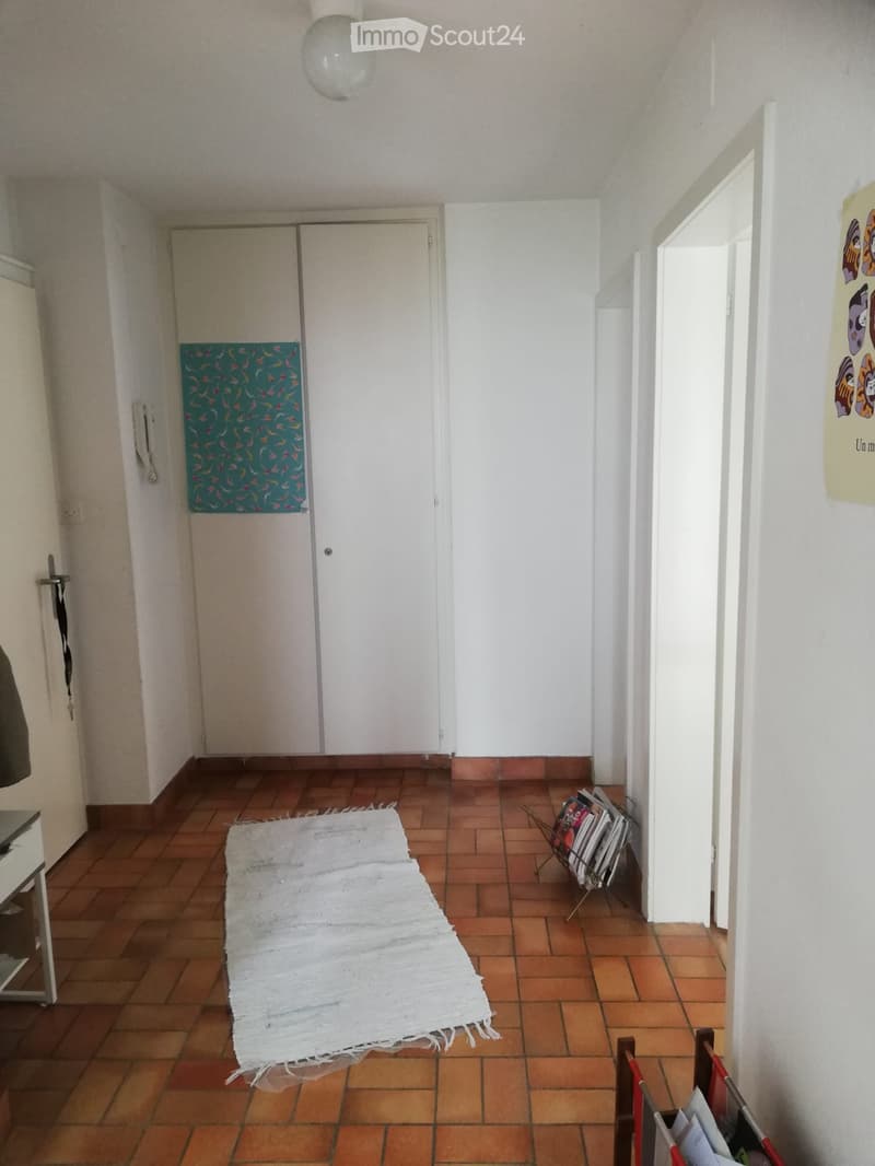 Bello e tranquillo appartamento mansardato di 2,5 locali con vista (9)