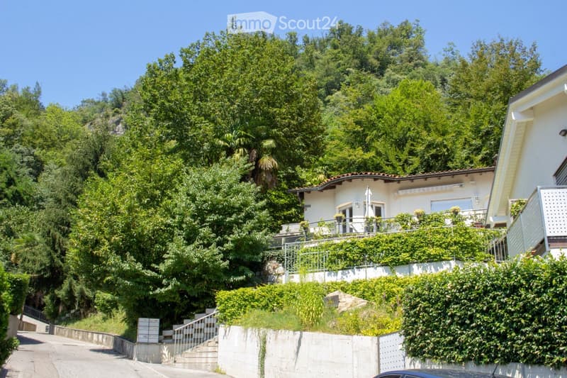 Lugano immersa nel verde vicino al lago e bus per Lugano (3)