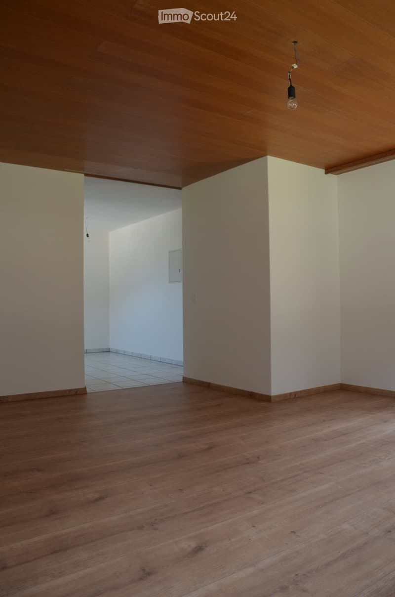 Appartamento 2 1/2 locali luminoso in una zona tranquilla in affitto (2)