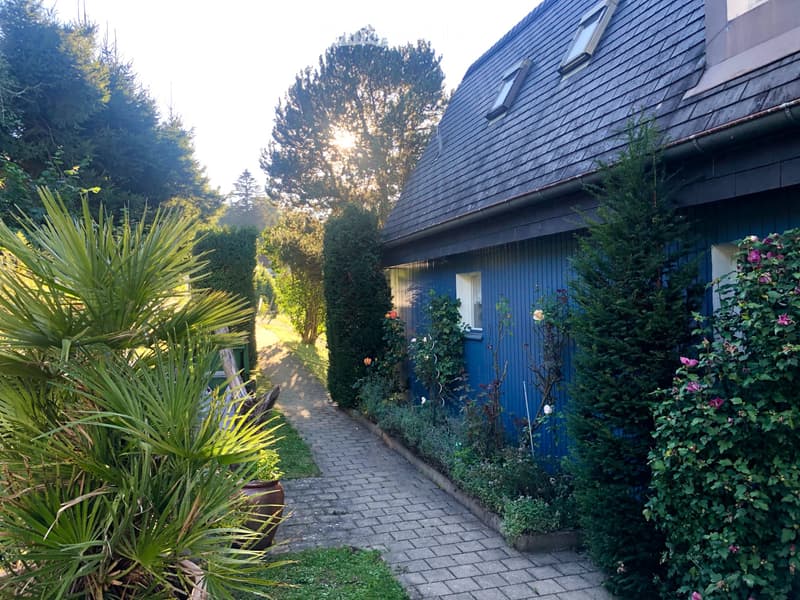 Ruhiges Studio mit Abendsonne & Seesicht (5)
