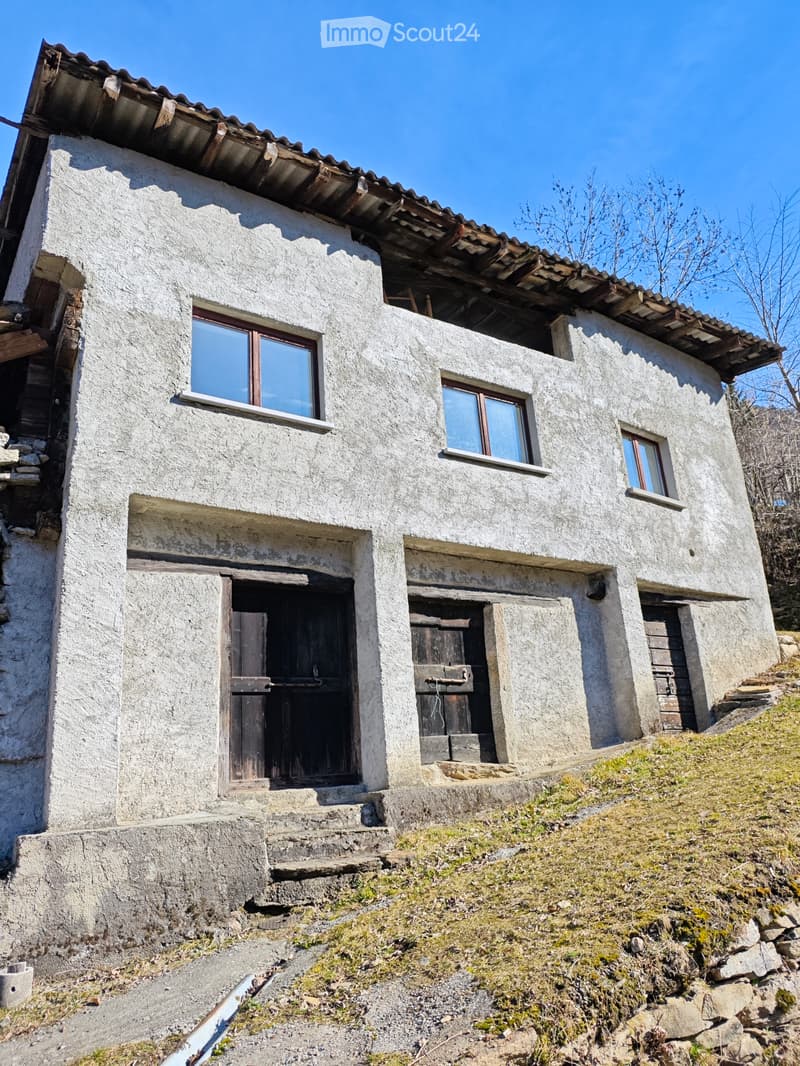 Haus mit Weinberg (4)
