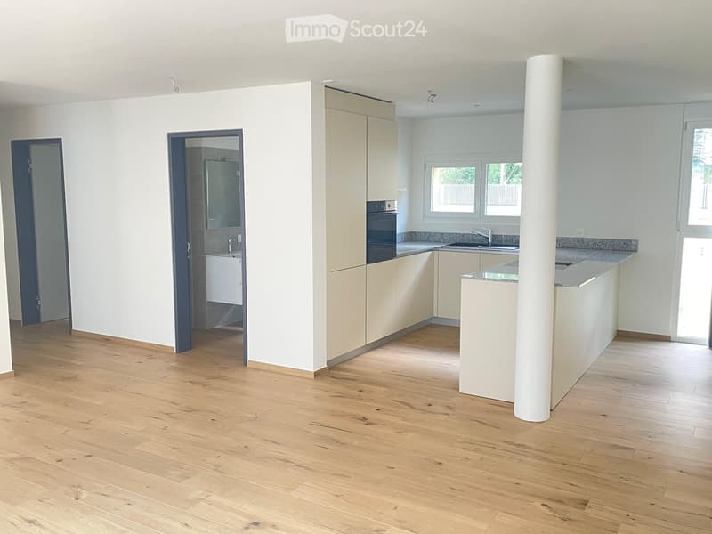 Wohnungen 4.5 Zimmer (6)