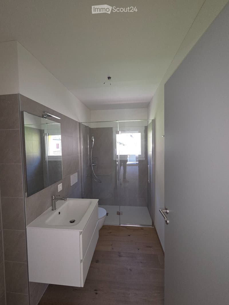 Wohnungen 4.5 Zimmer (9)