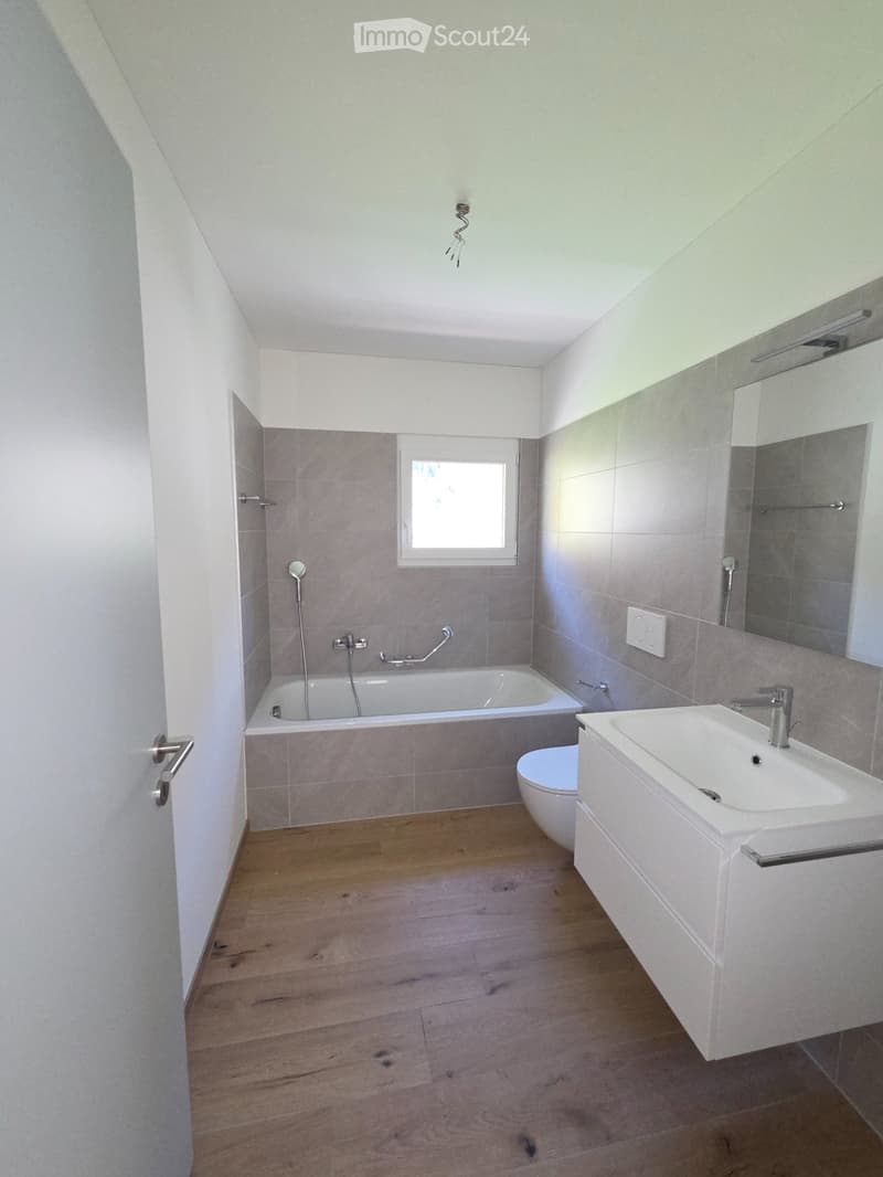 Wohnungen 4.5 Zimmer (8)