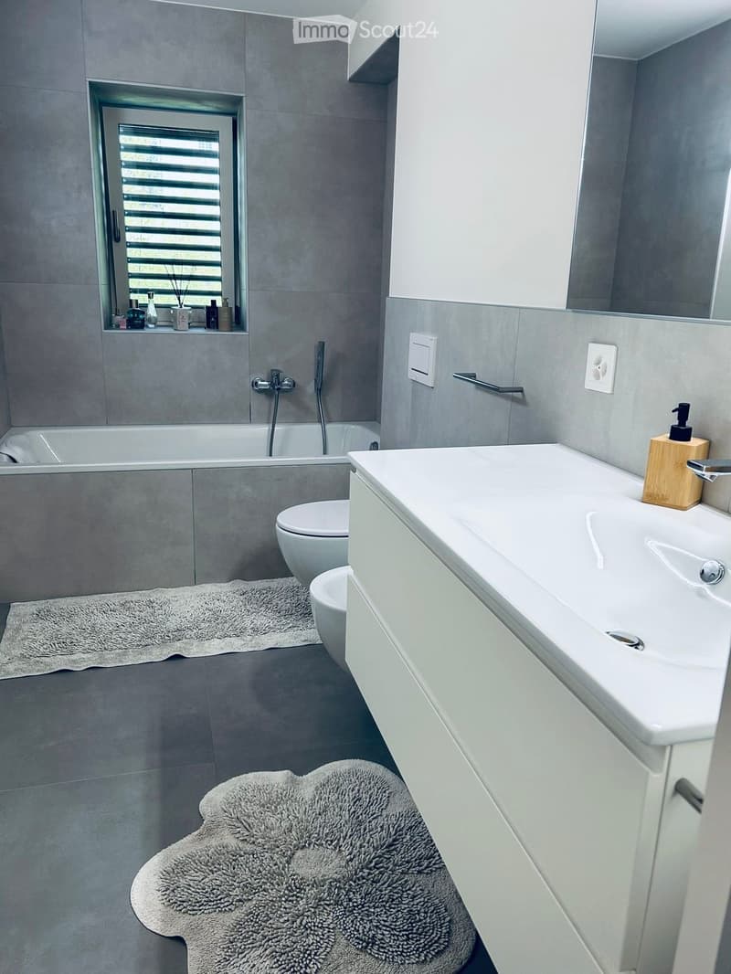 Dachwohnung Duplex neu (5)