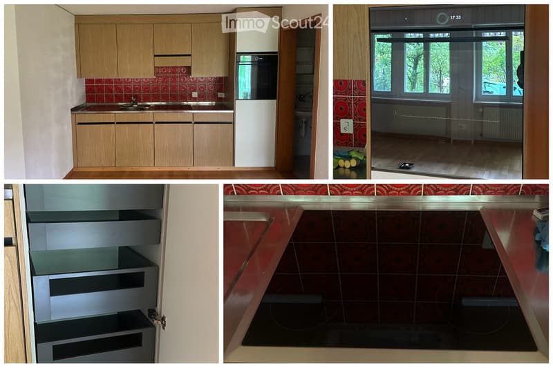 Appartement de vacances spacieux 1 pièce / studio dans le Diemtigtal (4)