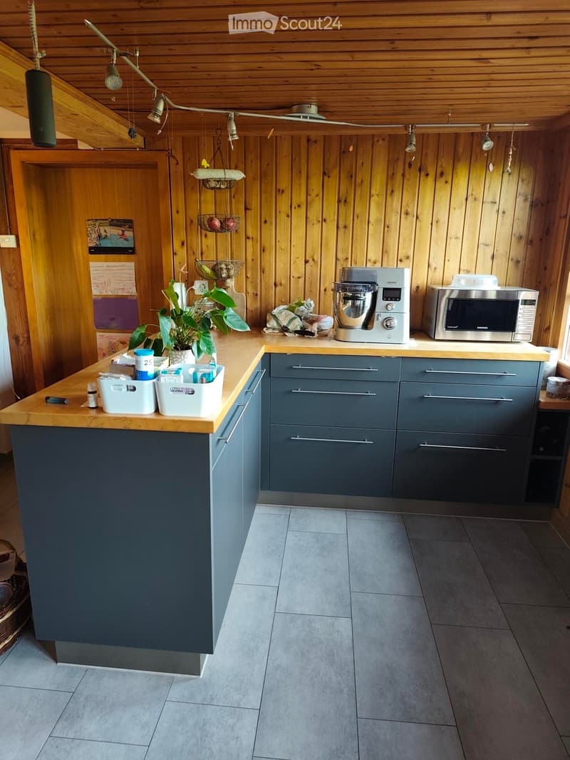 Ampio appartamento con area circostante (3)