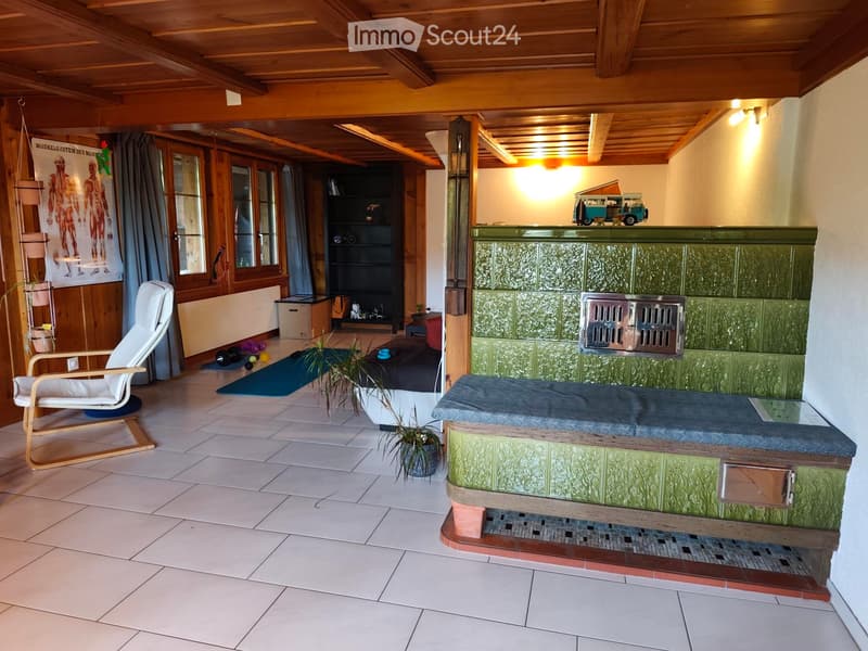 Ampio appartamento con area circostante (5)