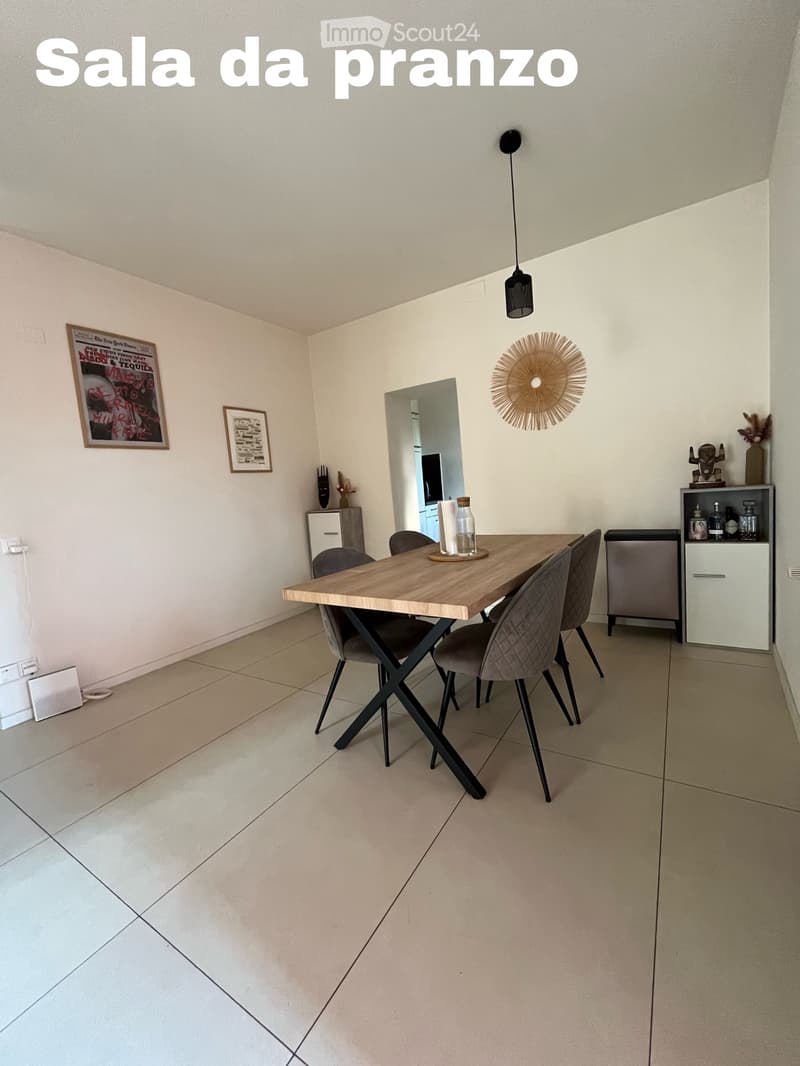 Appartement Massagno 3.5 (5)