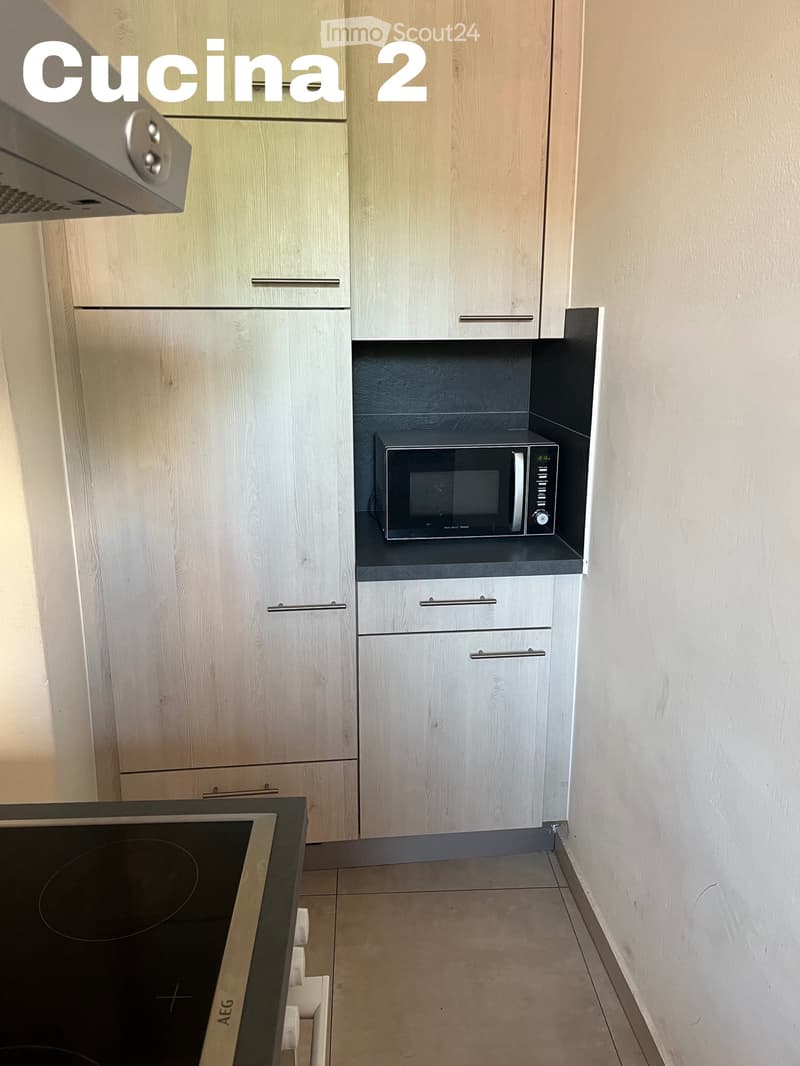 Appartement Massagno 3.5 (7)