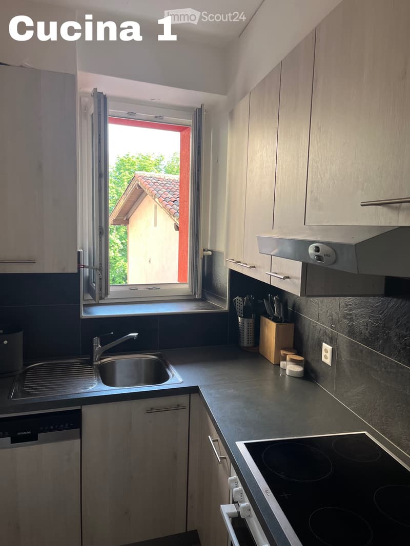 Appartement Massagno 3.5 (6)