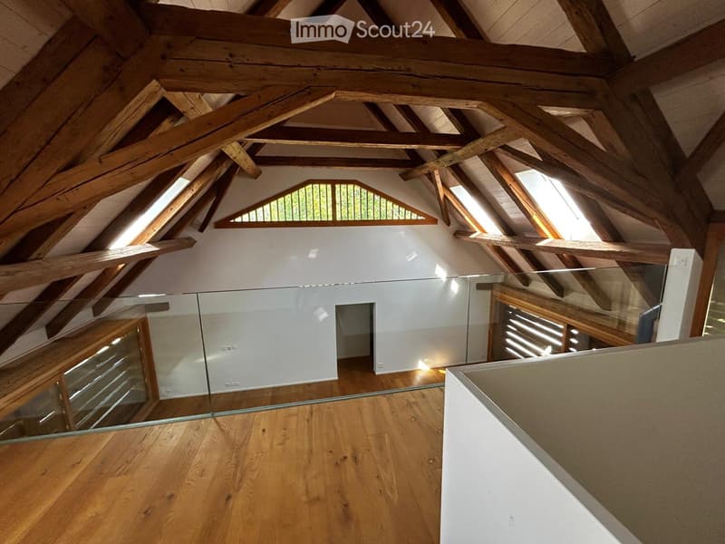 Appartamento di 3,5 locali con galleria in affitto (2)