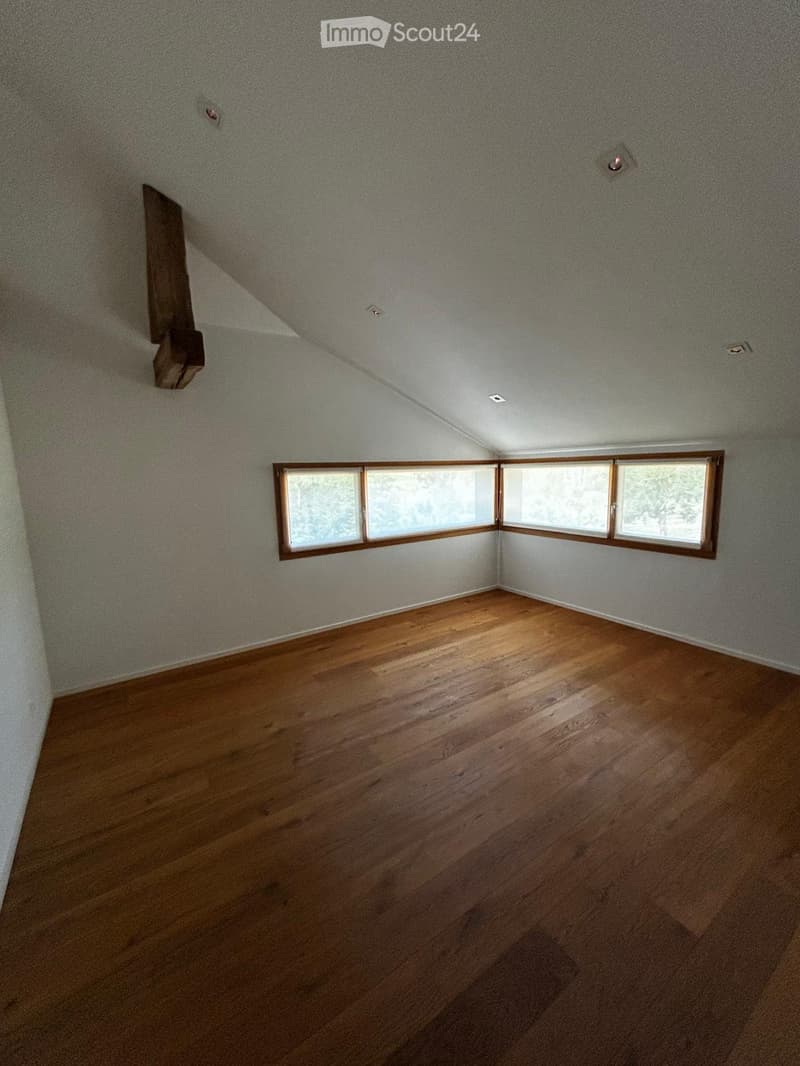 Appartamento di 3,5 locali con galleria in affitto (3)