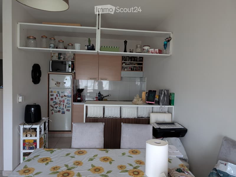 Appartamento di 2,5 locali in subentro (3)