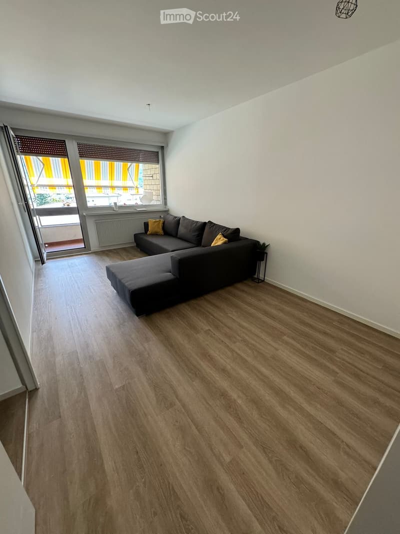 Appartement spacieux à louer à Monte Carasso (2)