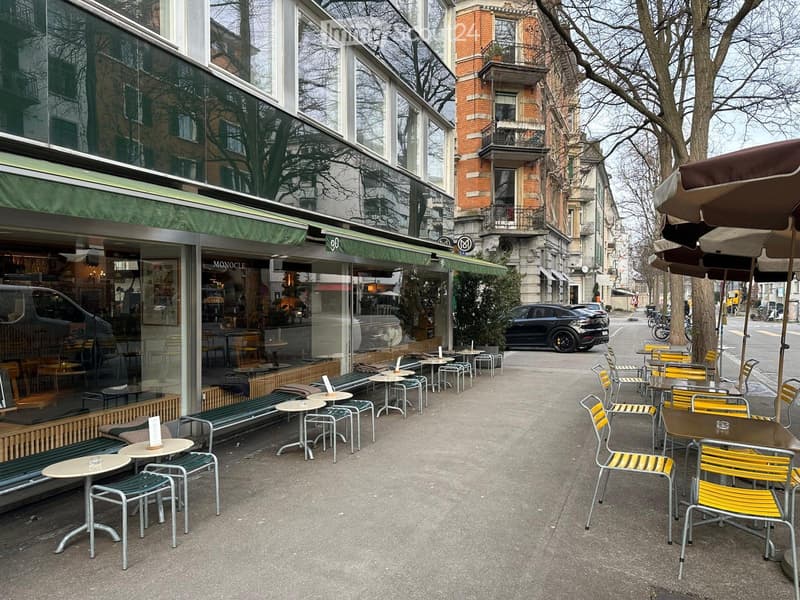 Wo Zürich am schönsten ist möblierte Wohnung beim Bellevue (10)