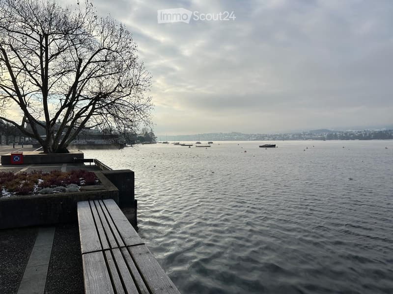 Wo Zürich am schönsten ist möblierte Wohnung beim Bellevue (9)