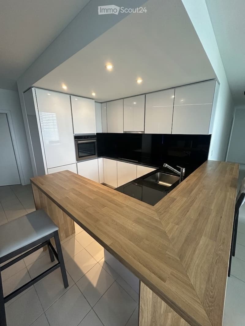 Moderno 3.5 con lavanderia privata 1500 fr TUTTO INCLUSO (2)