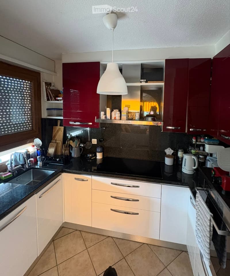 Beautiful bright apartment with 4.5 rooms (3)
