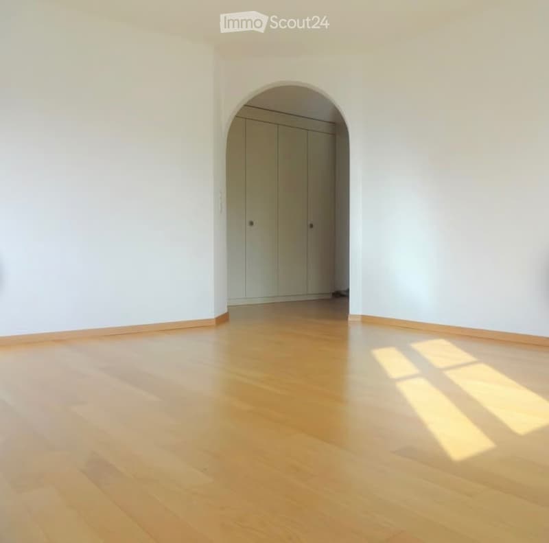 We are looking for a subtenant for our beautiful apartment (3)