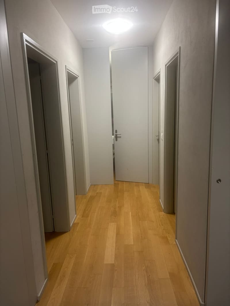 Subentro Urgente - Ampio 4.5 locali con Garage e Posteggio (2)