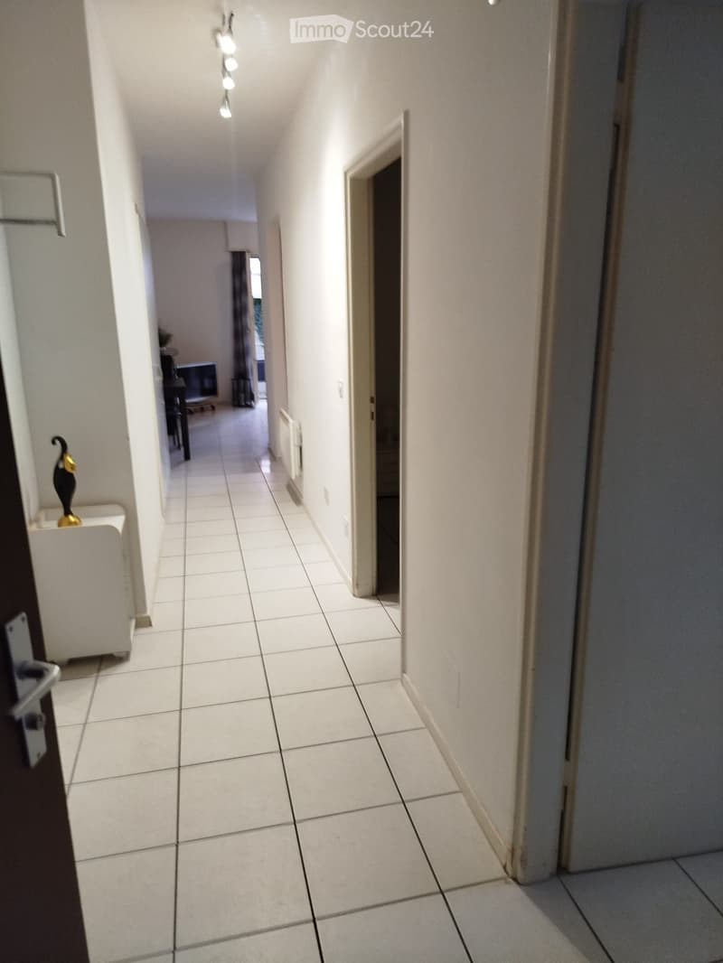 Locarno- Solduno Appartamento 3 Locali ammobiliato (6)