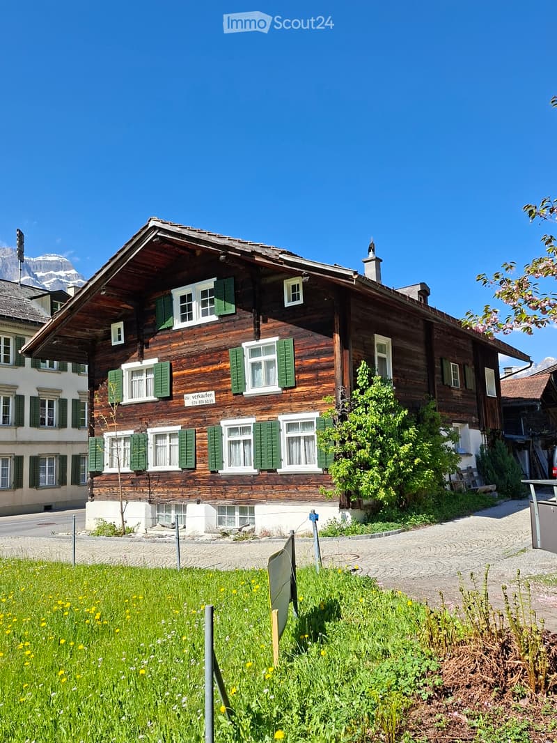 Liebhaberobjekt (4)