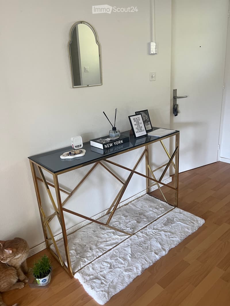 Incantevole appartamento di 3 camere (3)
