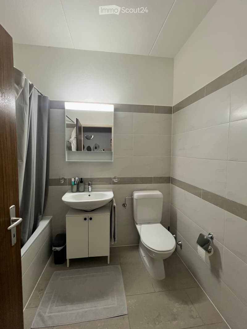 2.5 Room apartment in bright apartment in Besso for takeover (4)