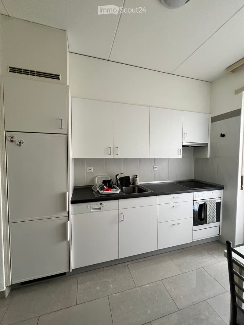 2.5 Room apartment in bright apartment in Besso for takeover (3)