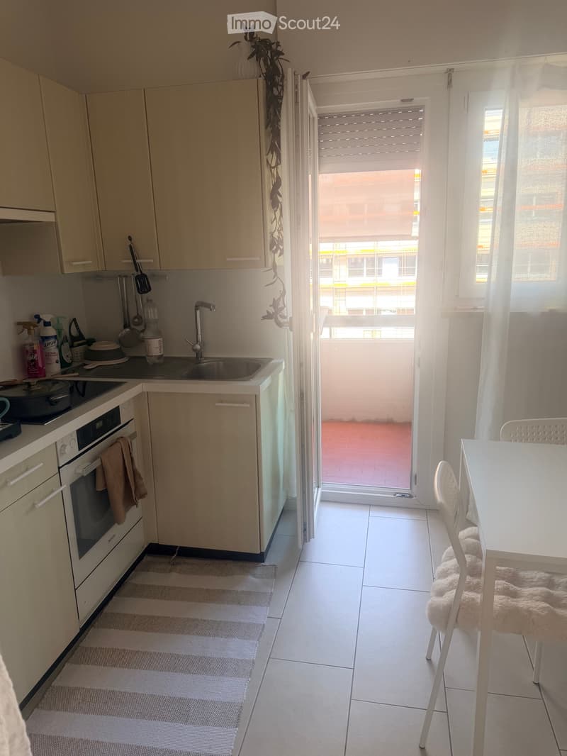 Apartment 4,5 Lugano (2)
