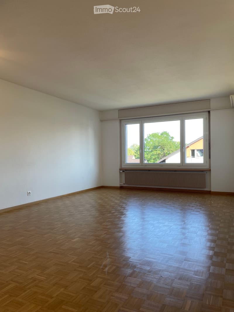 * Appartamento 4.5 locali a Egerkingen * (3)